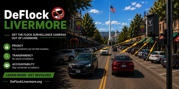 DeFlock Livermore campaign banner showing downtown Livermore and an illustrated Flock camera